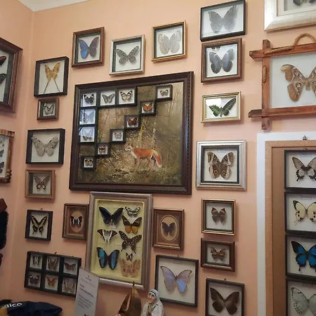 Gæstehus Sylana Kobylka