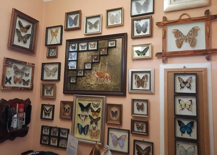 Guest house Sylana Kobylka